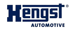 hengast-removebg-preview